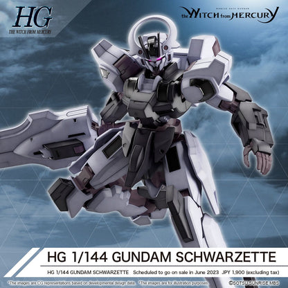 AE/Schwarzette HG 1:144